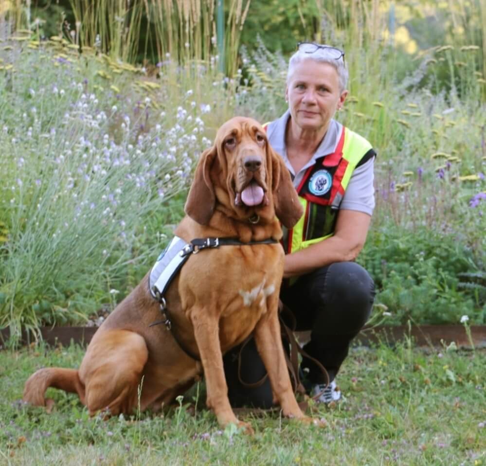 Suchhund Amira mit Hundeführer Ulli Kellner